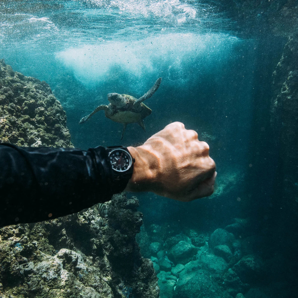 California Watch Co. Lost Coast Sizeolar Field Midnight