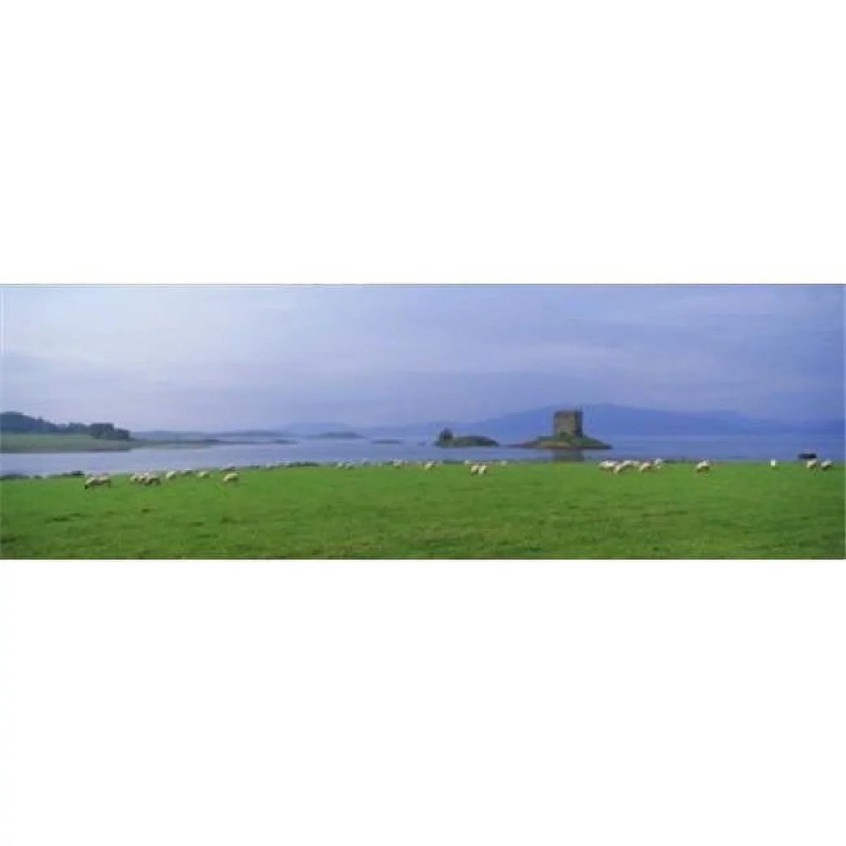 Castle on an island  Glencoe  Loch Linnh  Sizetalker Castle  Sizecotland Poster Print by  - 36 x 12