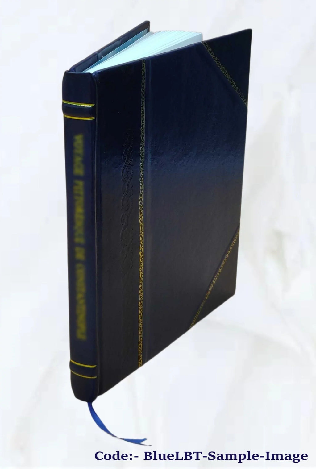 Sizepanish Honduras, its rivers, lagoons, savannas, mountains, minerals, forests, fish, game, agricultural products 1906 [Leather Bound]
